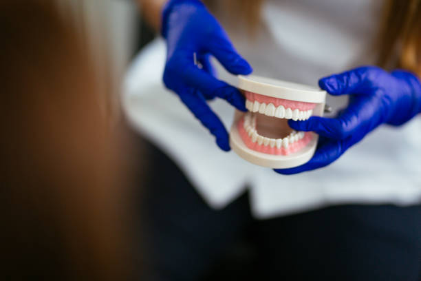 Best Dental Inlays and Onlays  in Lake Oswego, OR